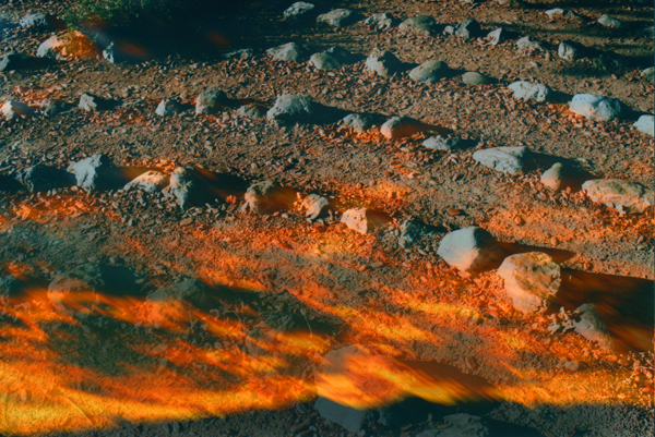 Darlene Frank, creativity coach for writers. Image related to "Earth Took of Earth" poem.